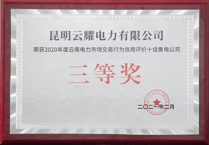 荣获十佳企业三等奖荣誉